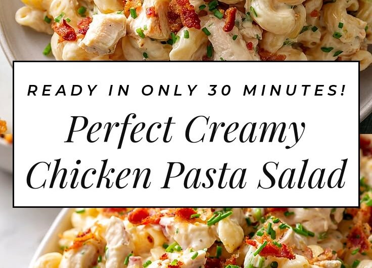 Pasta Recipes