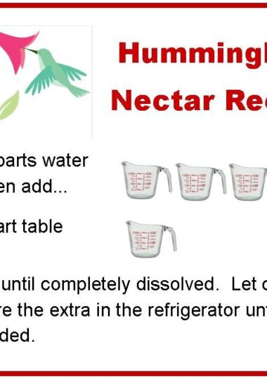 Hummingbird Nectar Recipe