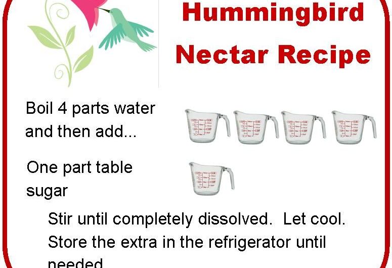 Hummingbird Nectar Recipe