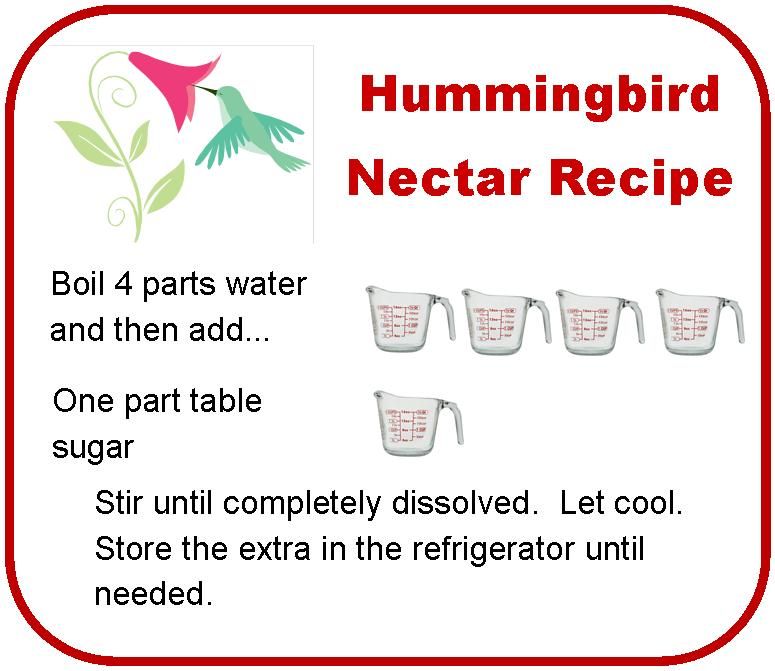 Hummingbird Nectar Recipe